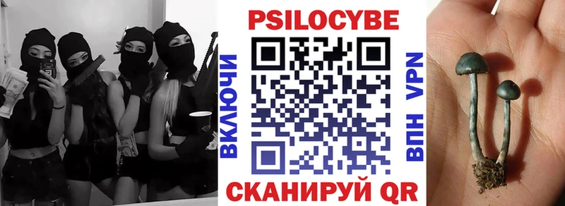 Галлюциногенные грибы MAGIC MUSHROOMS  Купить  Сельцо 